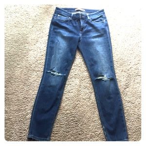 JOES jeans super cute